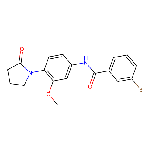 3-bromo-N-[3-methoxy-4-(2-oxopyrrolidin-1-yl)phenyl]benzamide structure