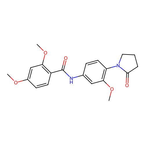 2,4-dimethoxy-N-[3-methoxy-4-(2-oxopyrrolidin-1-yl)phenyl]benzamide structure