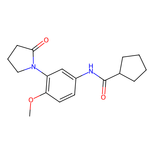N-(4-methoxy-3-(2-oxopyrrolidin-1-yl)phenyl)cyclopentanecarboxamide structure