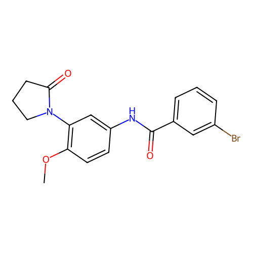 3-bromo-N-[4-methoxy-3-(2-oxopyrrolidin-1-yl)phenyl]benzamide structure