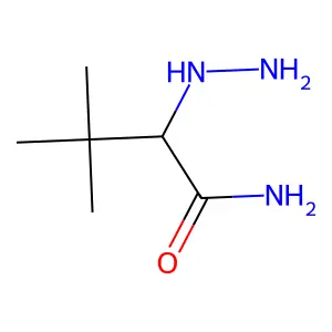 2-肼基-3,3-二甲基丁酰胺 structure