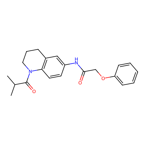 N-(1-isobutyryl-1,2,3,4-tetrahydroquinolin-6-yl)-2-phenoxyacetamide structure