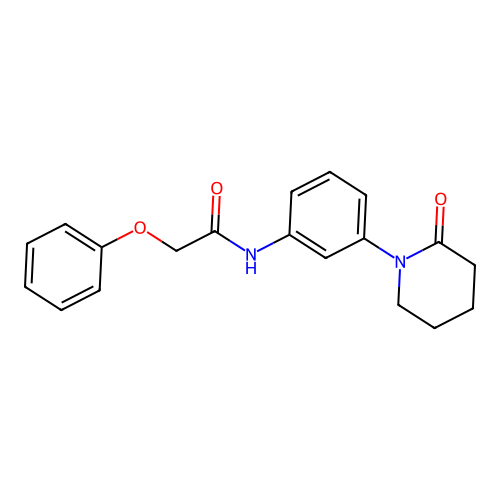 N-[3-(2-oxopiperidin-1-yl)phenyl]-2-phenoxyacetamide structure