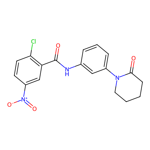 2-chloro-5-nitro-N-[3-(2-oxopiperidin-1-yl)phenyl]benzamide structure