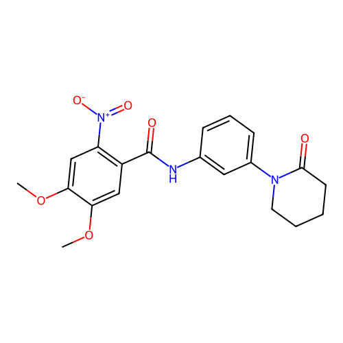 4,5-dimethoxy-2-nitro-N-[3-(2-oxopiperidin-1-yl)phenyl]benzamide structure