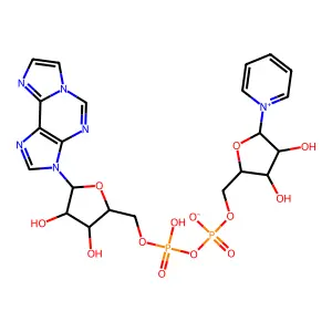 pyridine 1,N(6)-ethenoadenine dinucleotide structure
