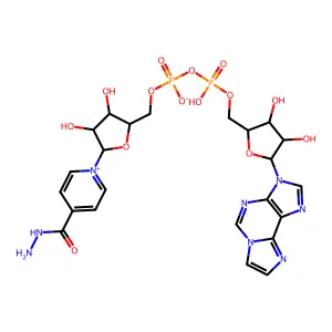 4-Hydrazinocarbonylpyridine-1,N(6)-ethenoadenine dinucleotide structure