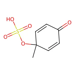 1-Methyl-4-oxocyclohexa-2,5-dien-1-yl hydrogen sulfate structure