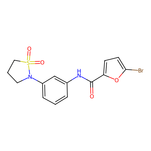 5-bromo-N-[3-(1,1-dioxo-1,2-thiazolidin-2-yl)phenyl]furan-2-carboxamide structure