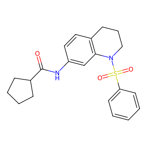 N-[1-(benzenesulfonyl)-3,4-dihydro-2H-quinolin-7-yl]cyclopentanecarboxamide structure
