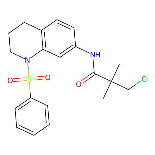N-[1-(benzenesulfonyl)-1,2,3,4-tetrahydroquinolin-7-yl]-3-chloro-2,2-dimethylpropanamide structure