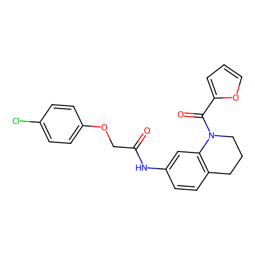 2-(4-chlorophenoxy)-N-[1-(furan-2-carbonyl)-1,2,3,4-tetrahydroquinolin-7-yl]acetamide structure