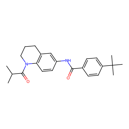 4-tert-butyl-N-[1-(2-methylpropanoyl)-3,4-dihydro-2H-quinolin-6-yl]benzamide structure