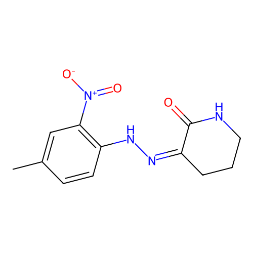 3-[(4-Methyl-2-nitrophenyl)hydrazinylidene]piperidin-2-one structure