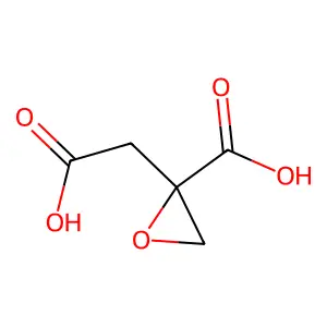 衣康酸环氧化物 structure