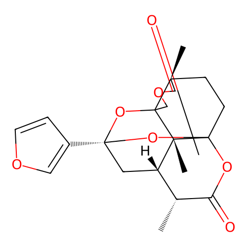 Saudin structure