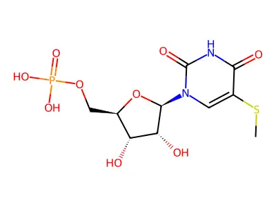 聚-5-甲硫基尿苷酸 structure