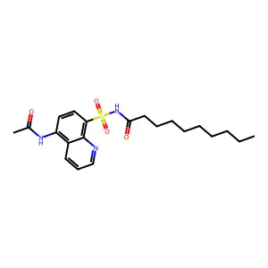 N-(5-乙酰胺基-8-喹啉磺酰基)癸酰胺 structure