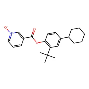 L 44-0 structure