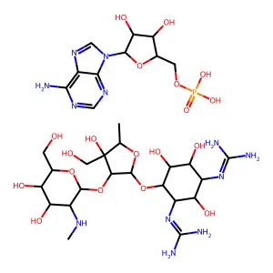 Adenylyl dihydrostreptomycin structure
