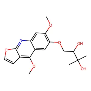 Nkolbisine structure