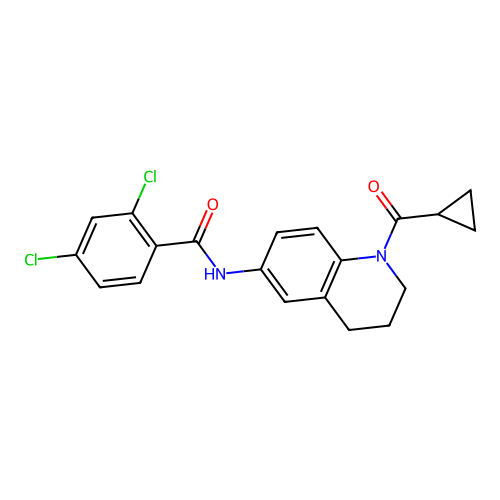 2,4-dichloro-N-[1-(cyclopropanecarbonyl)-3,4-dihydro-2H-quinolin-6-yl]benzamide structure