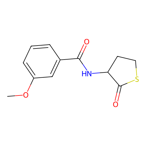 3-methoxy-N-(2-oxothiolan-3-yl)benzamide structure