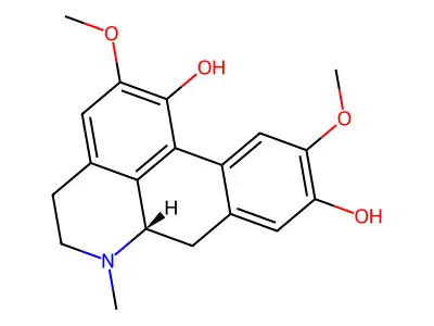 Isoboldine structure
