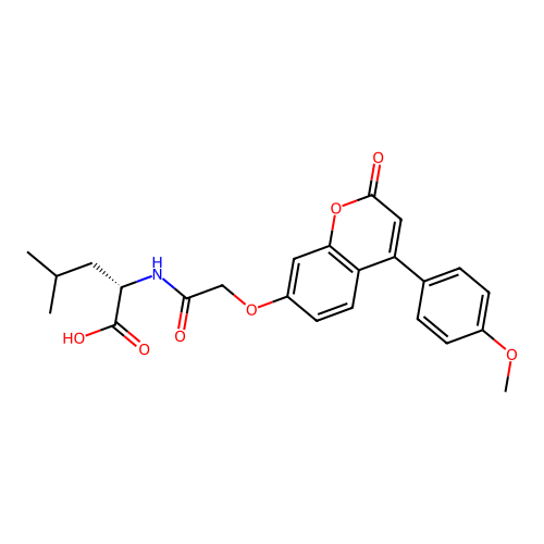 (S)-2-(2-((4-(4-methoxyphenyl)-2-oxo-2H-chromen-7-yl)oxy)acetamido)-4-methylpentanoic acid structure
