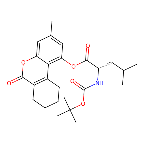 (3-methyl-6-oxo-7,8,9,10-tetrahydrobenzo[c]chromen-1-yl) (2S)-4-methyl-2-[(2-methylpropan-2-yl)oxycarbonylamino]pentanoate structure