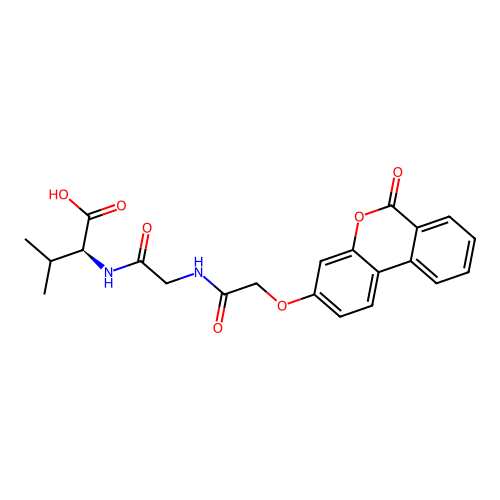 (S)-3-methyl-2-(2-(2-((6-oxo-6H-benzo[c]chromen-3-yl)oxy)acetamido)acetamido)butanoic acid structure