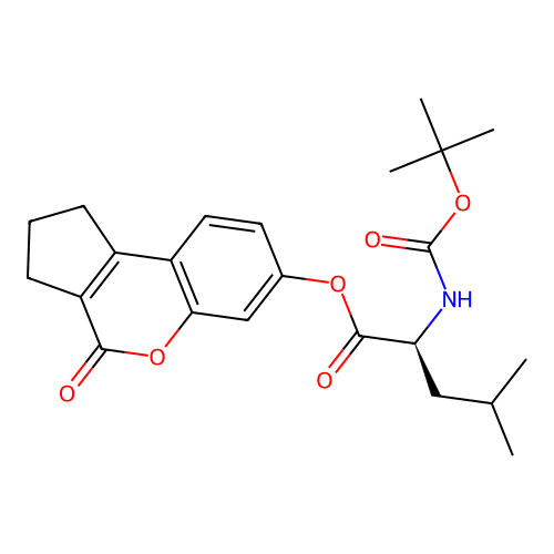 (4-oxo-2,3-dihydro-1H-cyclopenta[c]chromen-7-yl) (2S)-4-methyl-2-[(2-methylpropan-2-yl)oxycarbonylamino]pentanoate structure