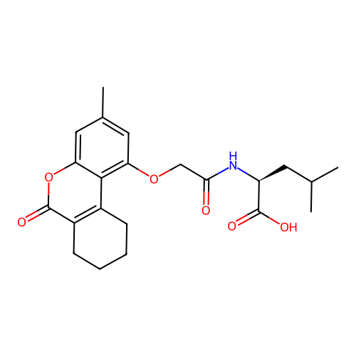 EiM07-17265 structure