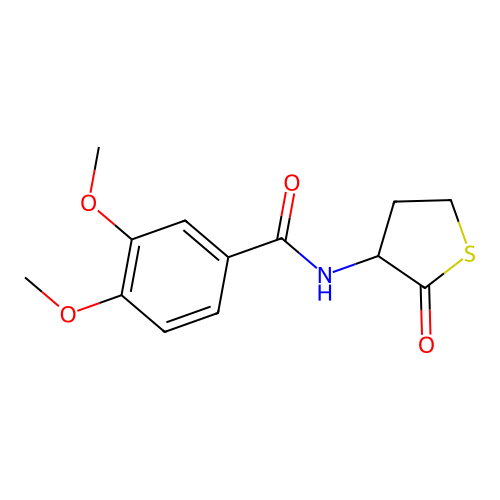 3,4-dimethoxy-N-(2-oxotetrahydrothiophen-3-yl)benzamide structure