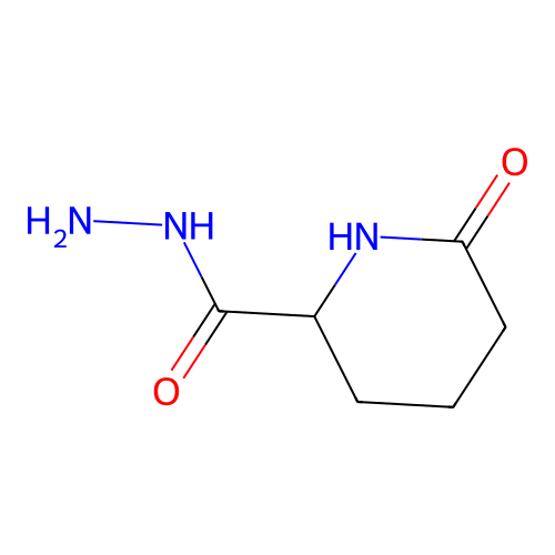 6-Oxopiperidine-2-carbohydrazide structure