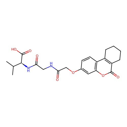 (S)-3-methyl-2-(2-(2-((6-oxo-7,8,9,10-tetrahydro-6H-benzo[c]chromen-3-yl)oxy)acetamido)acetamido)butanoic acid structure