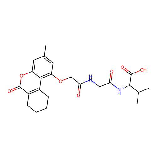 (S)-3-methyl-2-(2-(2-((3-methyl-6-oxo-7,8,9,10-tetrahydro-6H-benzo[c]chromen-1-yl)oxy)acetamido)acetamido)butanoic acid structure