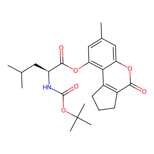 (7-methyl-4-oxo-2,3-dihydro-1H-cyclopenta[c]chromen-9-yl) (2S)-4-methyl-2-[(2-methylpropan-2-yl)oxycarbonylamino]pentanoate structure