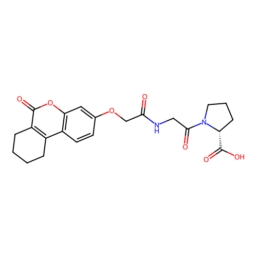 (R)-1-(2-(2-((6-oxo-7,8,9,10-tetrahydro-6H-benzo[c]chromen-3-yl)oxy)acetamido)acetyl)pyrrolidine-2-carboxylic acid structure