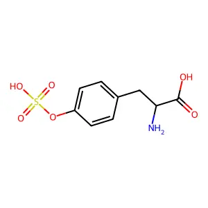 2-Amino-3-(4-hydroxyphenyl)propanoyl hydrogen sulfate structure