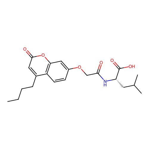 (S)-2-(2-((4-butyl-2-oxo-2H-chromen-7-yl)oxy)acetamido)-4-methylpentanoic acid structure