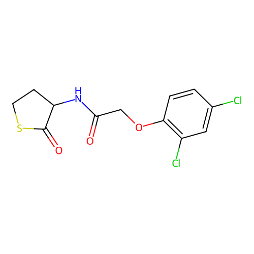 2-(2,4-dichlorophenoxy)-N-(2-oxothiolan-3-yl)acetamide structure