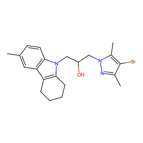 CBKinase1_005511 structure