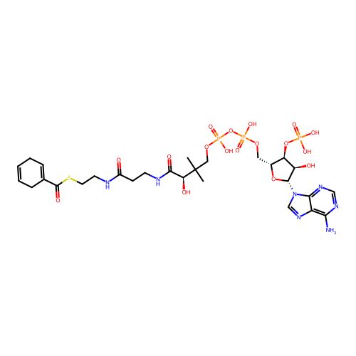 cyclohexa-1,4-diene-1-carbonyl-CoA structure