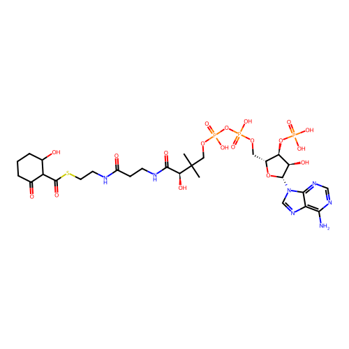 2-hydroxy-6-oxocyclohexane-1-carbonyl-CoA structure