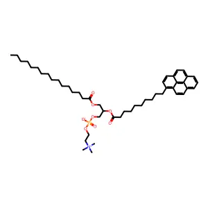 1-Palmitoyl-2-(1'-pyreneoctanoyl)glycero-3-phosphochine structure