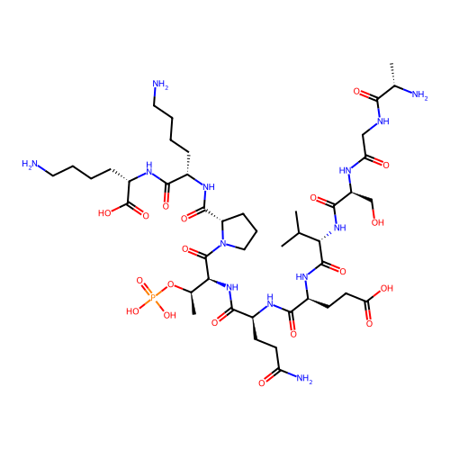 p27 Peptide structure