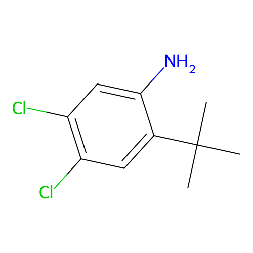 Aniline, 2-tert-butyl-4,5-dichloro- structure