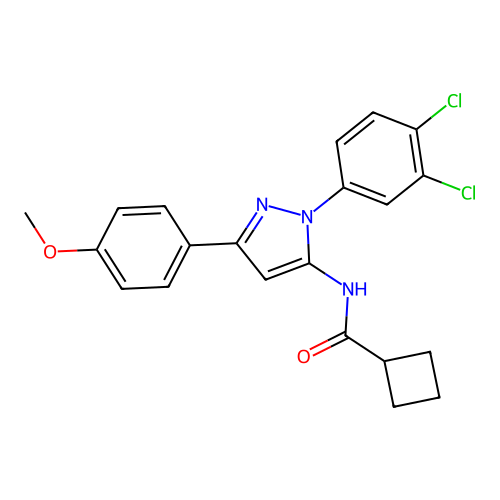 N-[1-(3,4-dichlorophenyl)-3-(4-methoxyphenyl)-1H-pyrazol-5-yl]cyclobutanecarboxamide structure