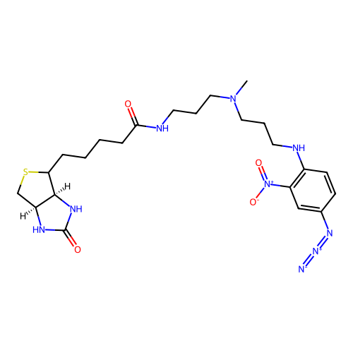 photobiotin structure